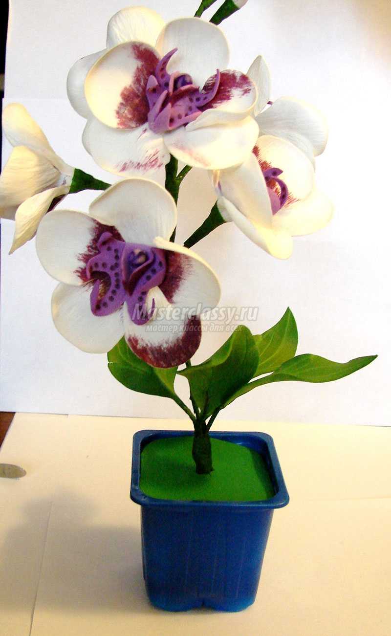 орхидея из фоамирана мастер класс видео