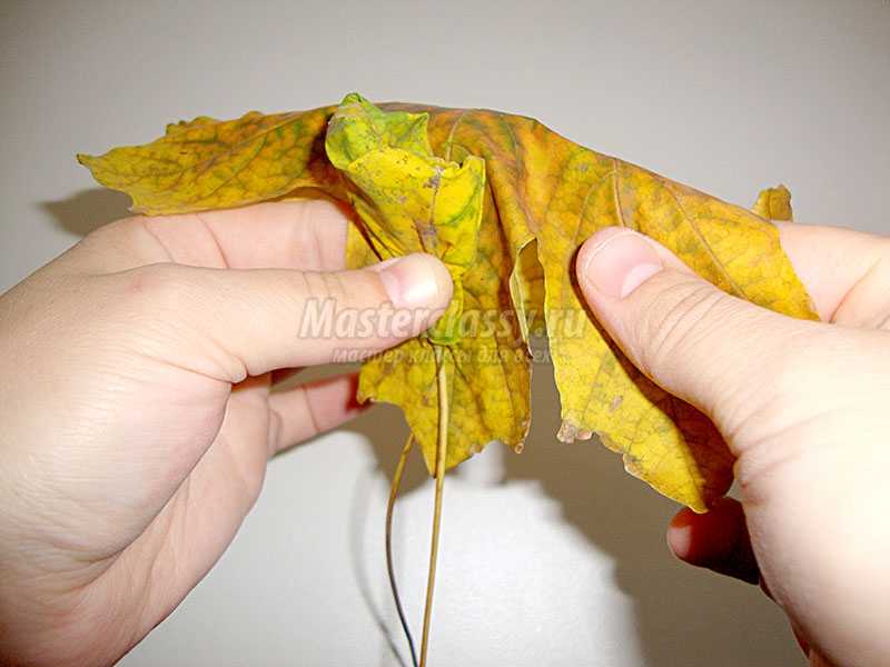 топиарий из кленовых листьев