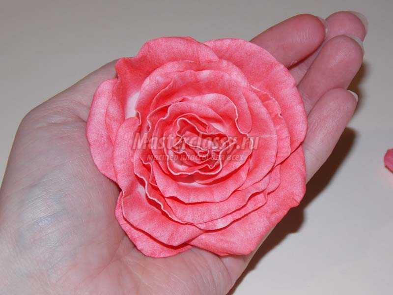 роза из фоамирана фото