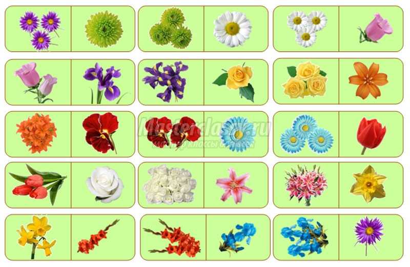 Найди пару март. Цветы для дошкольников. Цветочное лото для дошкольников. Цветы в детском саду. Иллюстрации цветов для средней группы.