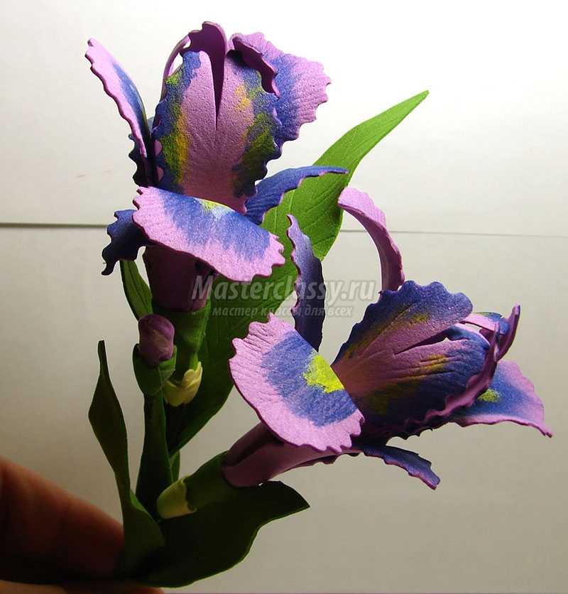 цветы из фоамирана мастер класс видео