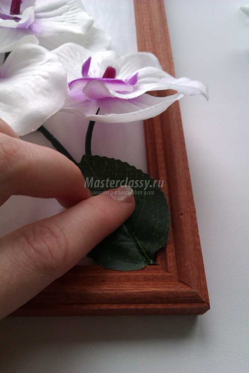Делаем Орхидеи