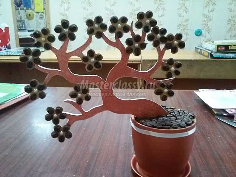 кофейное дерево