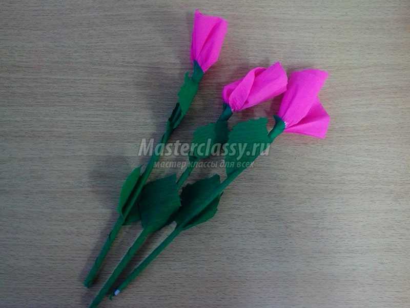 розы из гофрированной бумаги своими руками
