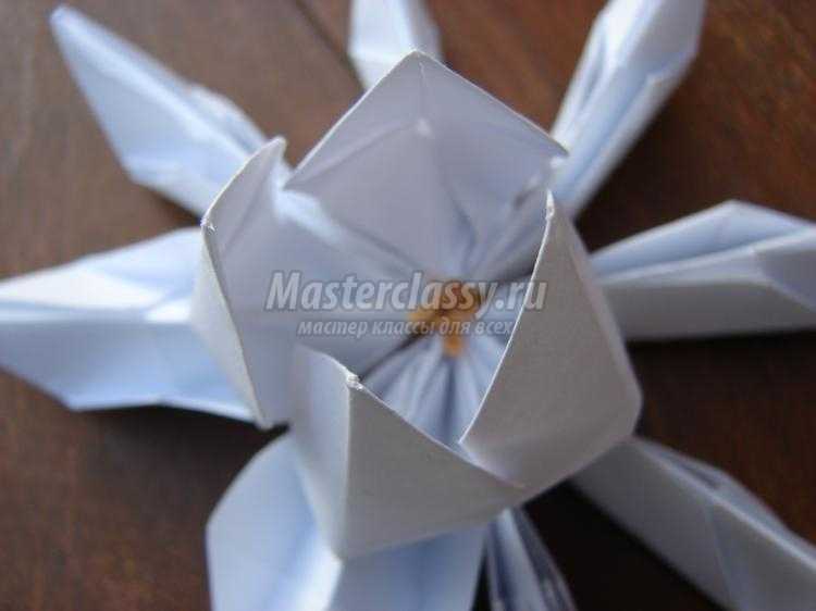 лотос из бумаги в технике оригами