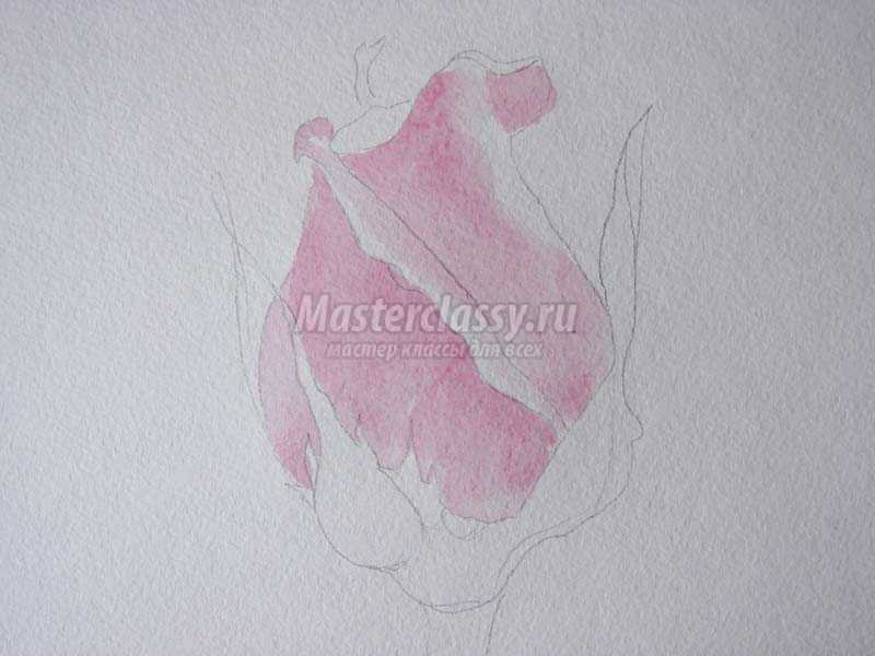 как нарисовать розу акварелью