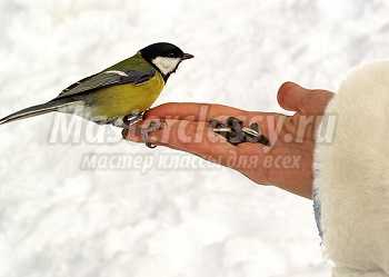 Конспект НОД в средней группе «Накормим зимующих птиц»