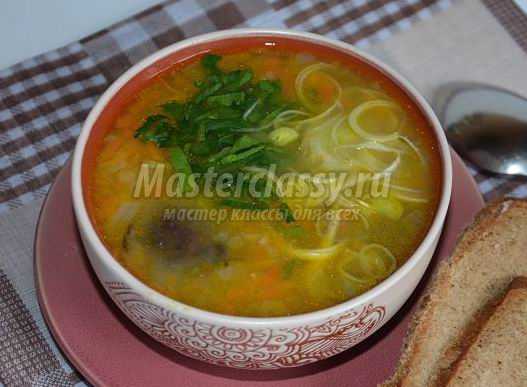 Грибной суп в мультиварке: аппетитные рецепты
