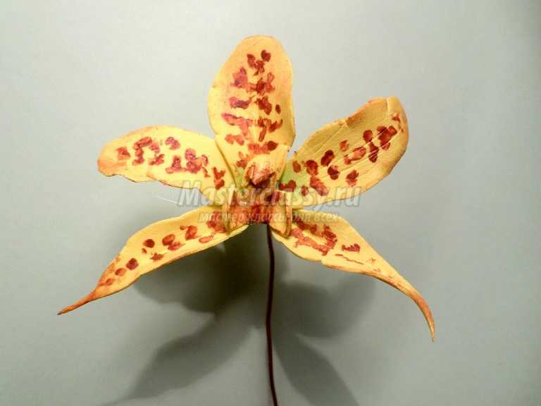 орхидеи из фоамирана мастер класс фото