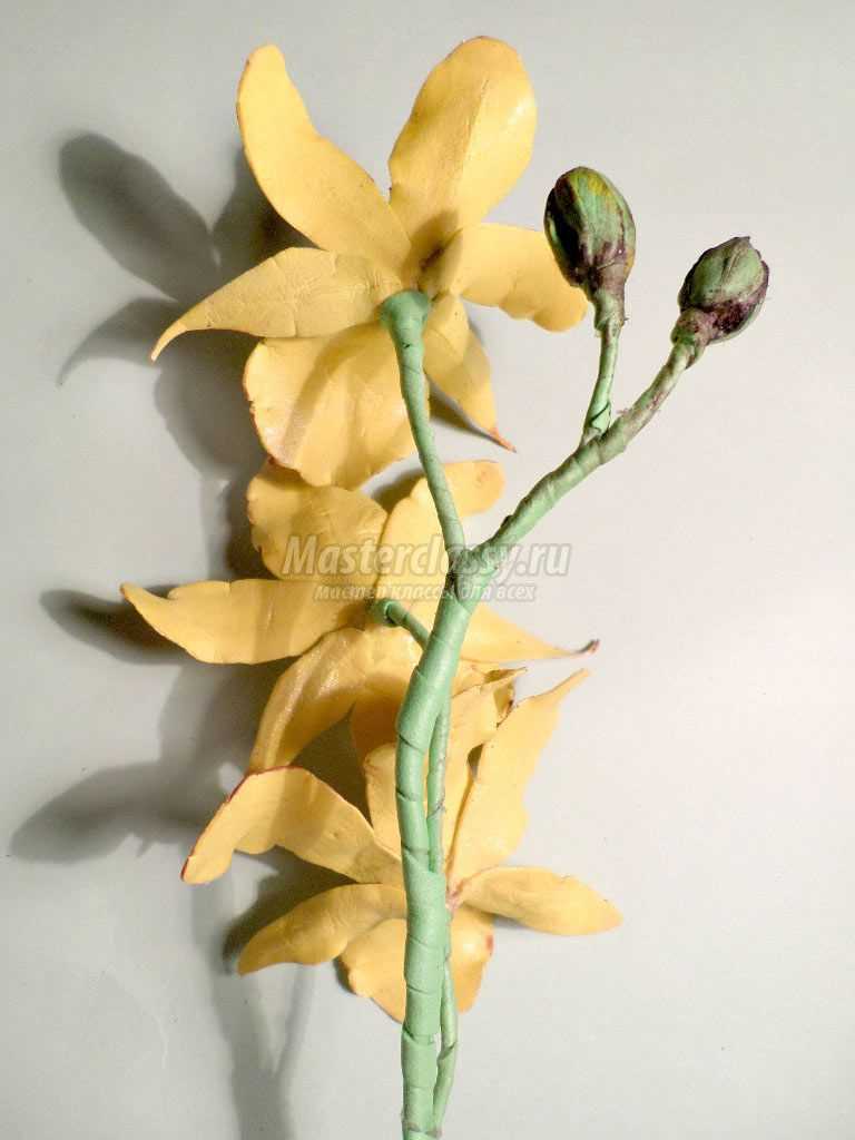 как сделать орхидею из фоамирана