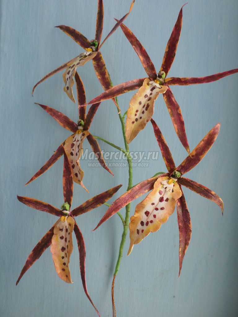 орхидеи из фоамирана для начинающих