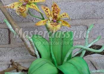 Орхидея из фоамирана. Композиция на блоке. Мастер-класс с пошаговыми фото