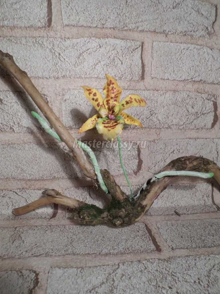 мк орхидея из фоамирана