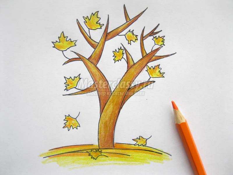 как нарисовать осеннее дерево карандашом