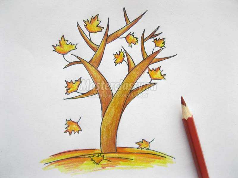 как нарисовать осеннее дерево карандашом