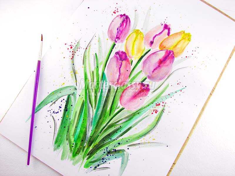 Как нарисовать акварелью тюльпаны - мастер-класс с пошаговым фото для детей, родителей и педагогов