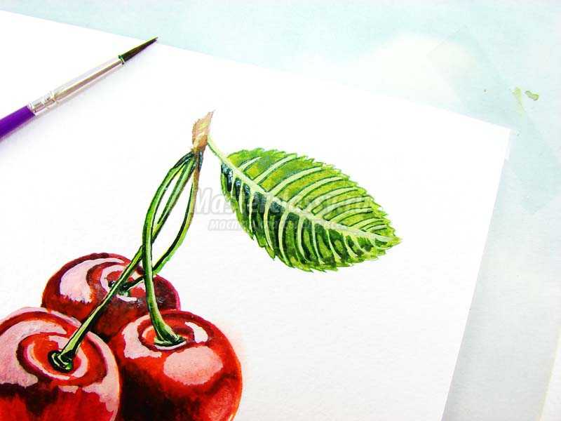 как нарисовать ветку вишни