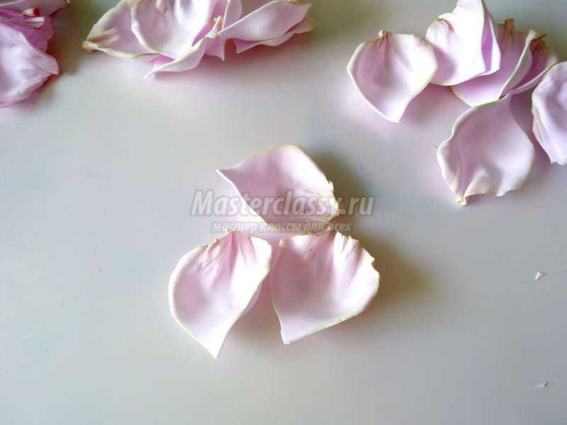 Красивая роза из фоамирана  сорта Esperance: пошаговый мастер-класс с фото