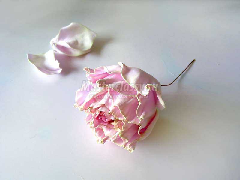 Красивая роза из фоамирана сорта Esperance: пошаговый мастер-класс с фото