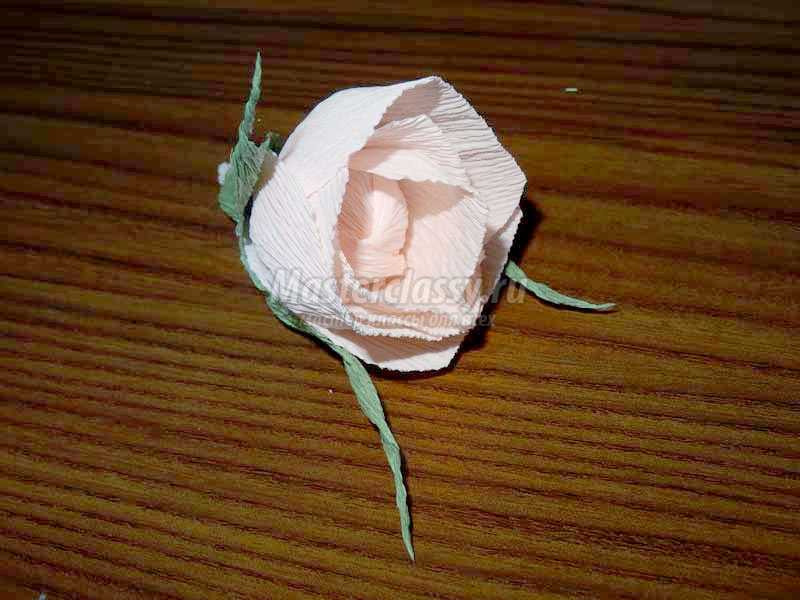 розы из гофрированной бумаги пошагово