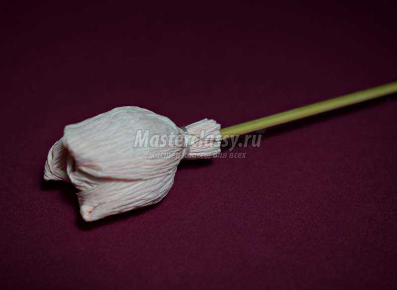 тюльпаны гофрированной бумаги своими руками мастер класс
