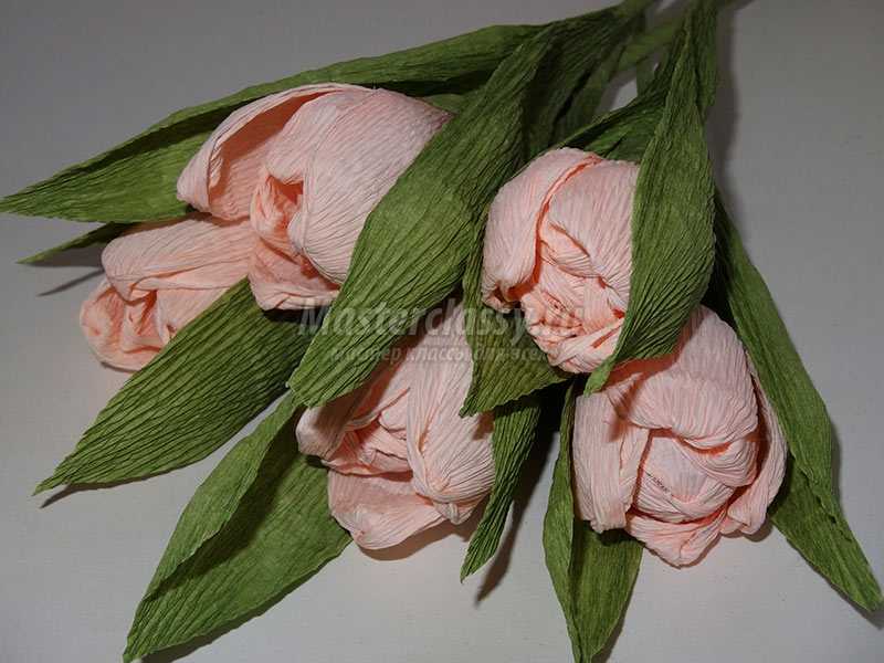тюльпаны из гофрированной бумаги пошагово