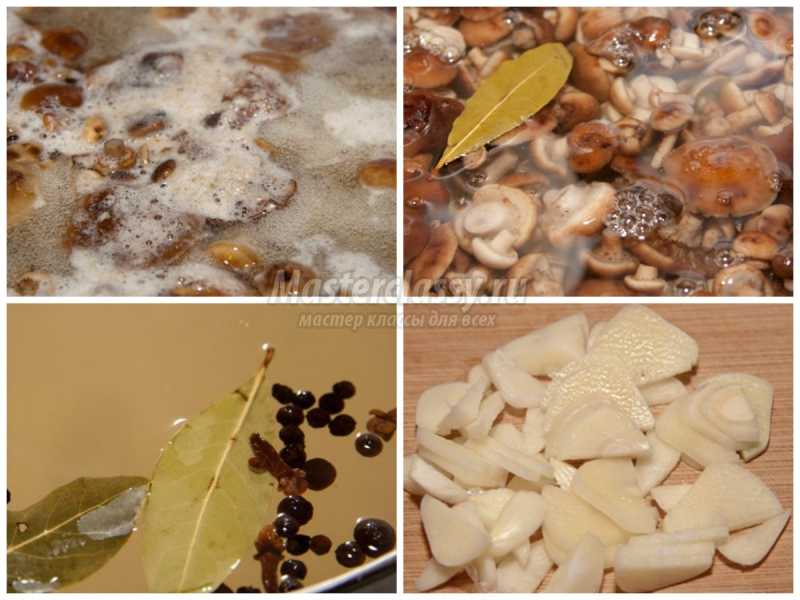 Маринованные опята на зиму: золотые рецепты с фото