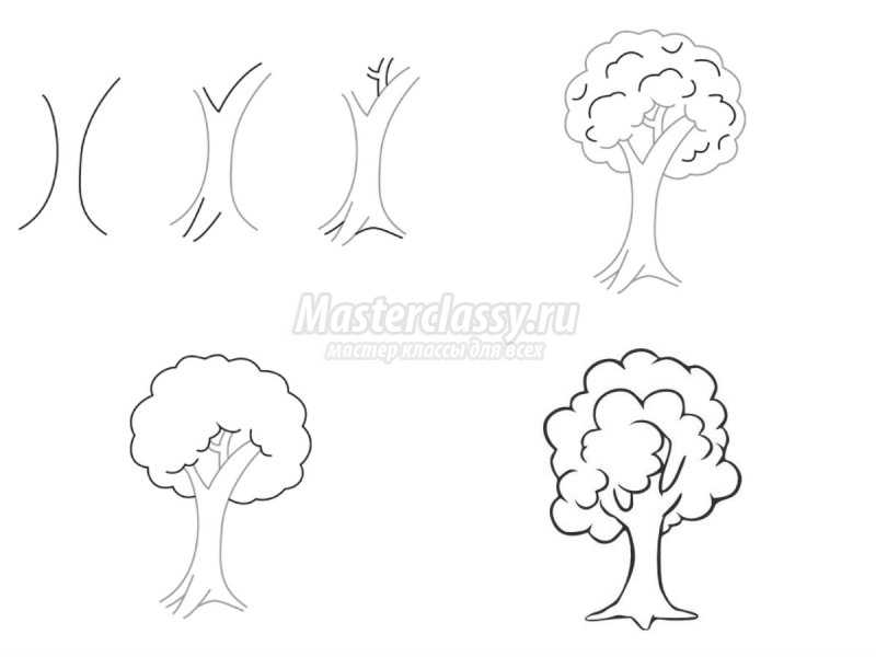 Как нарисовать дерево | Рисунок дерева поэтапно карандашом
