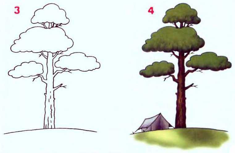 Как нарисовать дерево