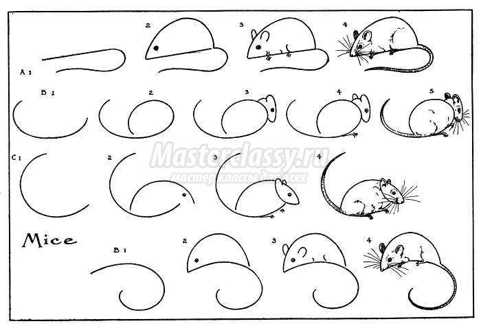 Как нарисовать мышку поэтапно, фото 8