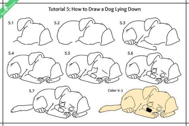 Как нарисовать собаку