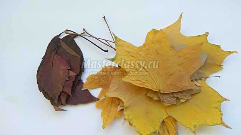 Аппликация из осенних листьев Сова