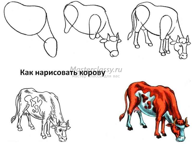 Как нарисовать быка